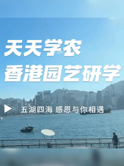 与香港园艺学会联合举办香港园艺研学，专业园境师带队讲解。